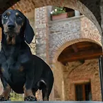 Castello Di Bed & Breakfast