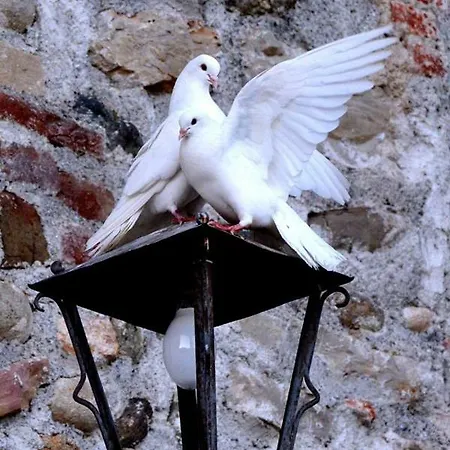Castello Di 4*